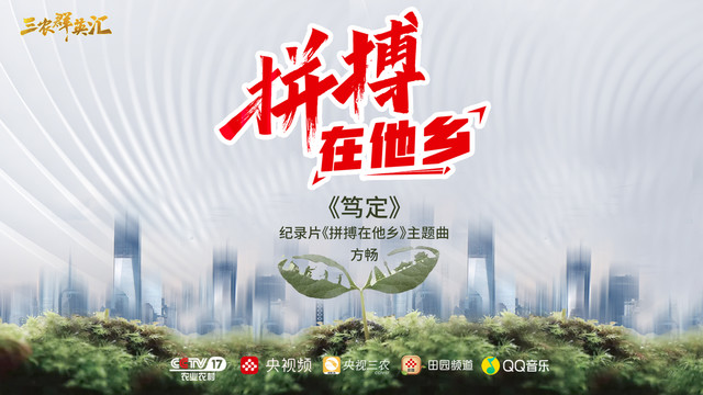 方畅 - 笃定 (CCTV-17纪录片《拼搏在他乡》主题曲)