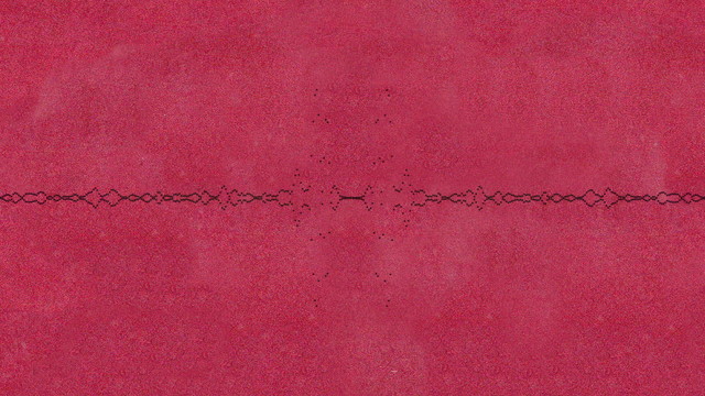 Ondara - This Must Be The Place (Visualizer)