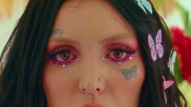 ZOO - metamorfose (interlude)