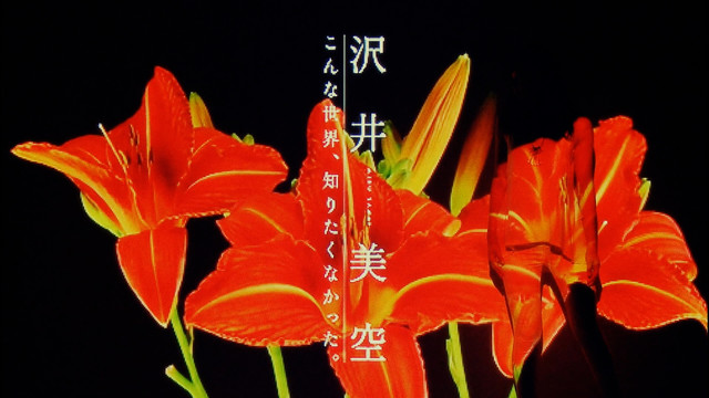 沢井美空 - こんな世界、知りたくなかった。