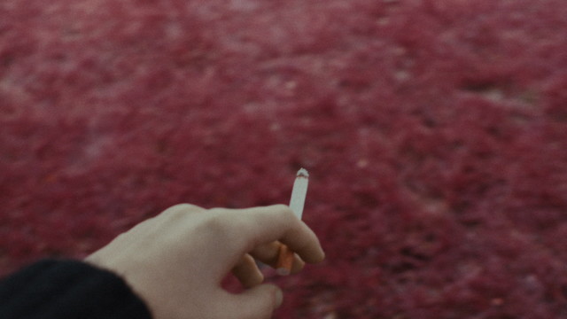 glaive - i don't really feel it anymore (Lyric Video)