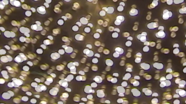 Donna Missal - I'm Not Ready (Visualizer)