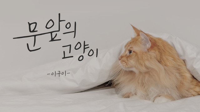 이구이 (IGWI) - 문 앞의 고양이 (Remastered 2022) (A cat at the door)