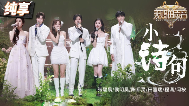 张碧晨 - 小诗句 (Live)