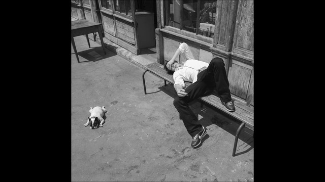 Charles Pasi - Garbage Dog