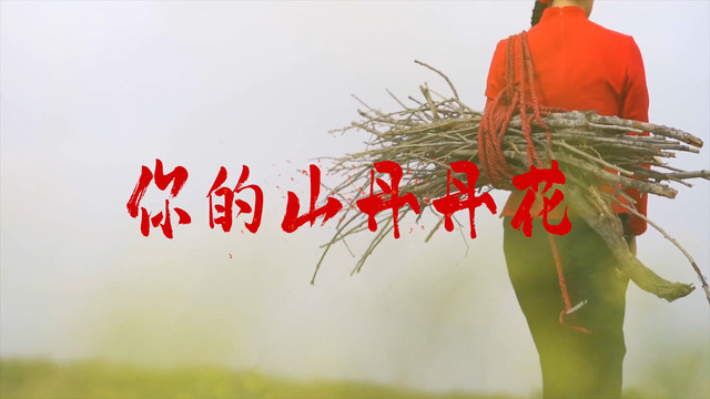 闫辽艳 - 你的山丹丹花