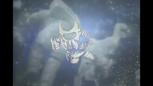 Blue Canopy - Motovun