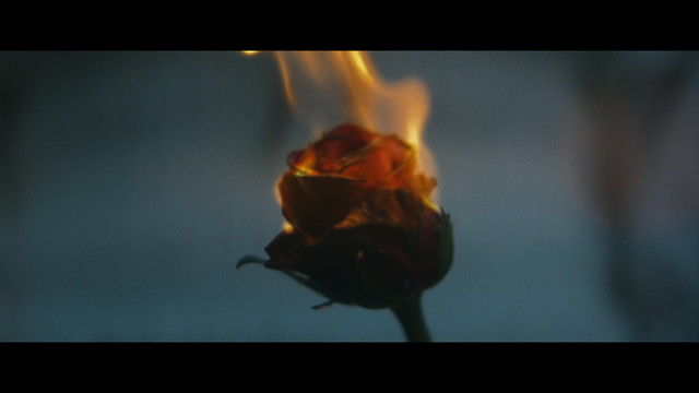 Mystery Jets - Screwdriver