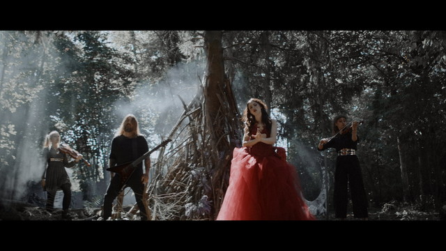 Dämmerland - Rosenrot