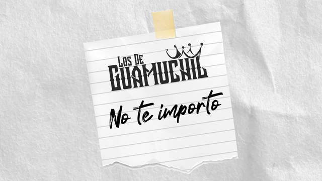 Los De Guamuchil - No Te Importo (歌词版)