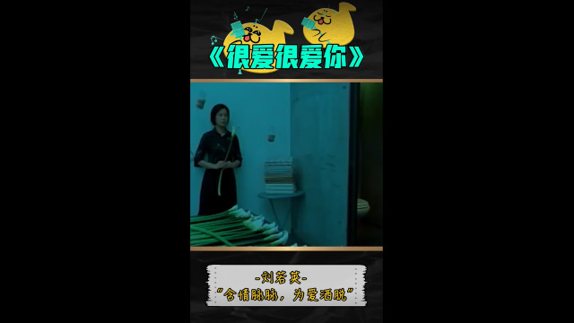 豹豹还在追星 - 【音乐百科】很爱很爱你