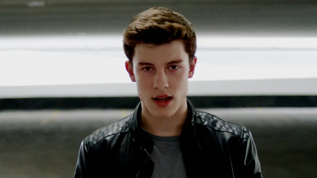 Shawn Mendes - Stitches (《舞蹈训练营》电影插曲)