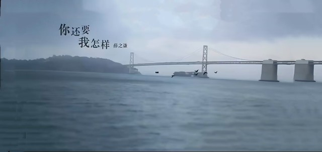 薛之谦 - 你还要我怎样 (《妈妈像花儿一样》电视剧片尾曲)