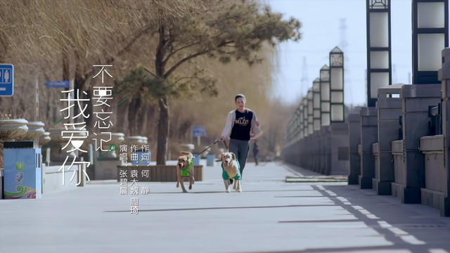 张碧晨 - 不要忘记我爱你 (《神犬小七》电视剧插曲)