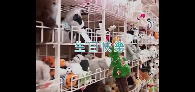 卓依婷 - 生日快乐 (KTV版)