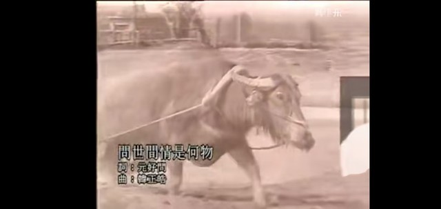 邓丽君 - 问世间情是何物