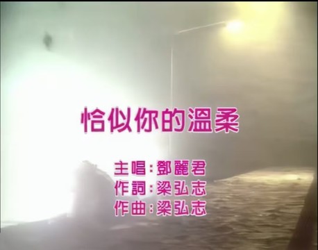 邓丽君 - 恰似你的温柔 (KTV版)