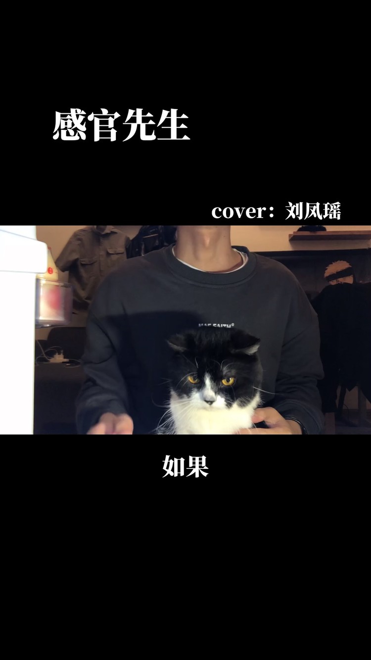 感官先生