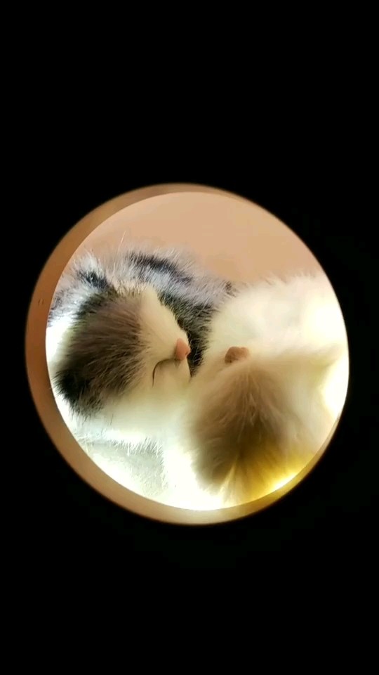  - 暖光陪你度过漆黑的夜