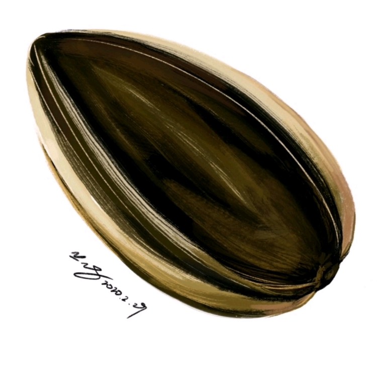  - 宅家无聊？不存在的，会更无聊