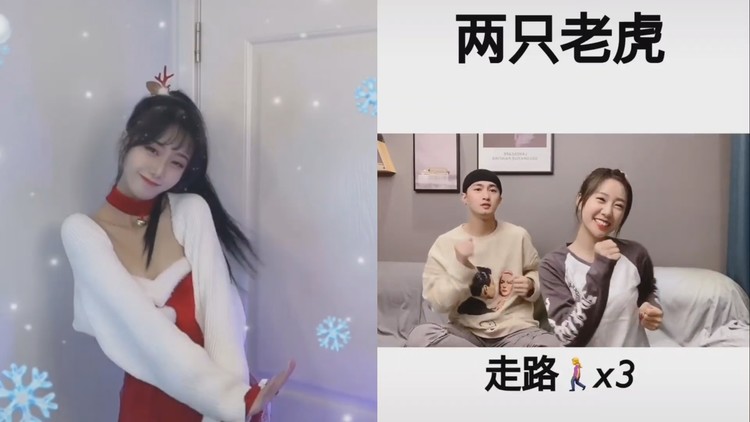 用《宝贝宝贝》开启可爱舞蹈,两只老虎爱跳舞,你学废了吗?