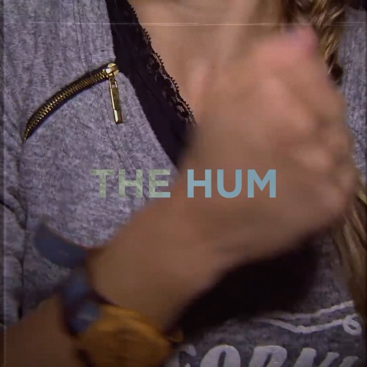  - 这个周末我们的热门单曲The Hum就要4岁了