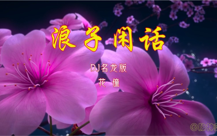 花僮浪子闲话01