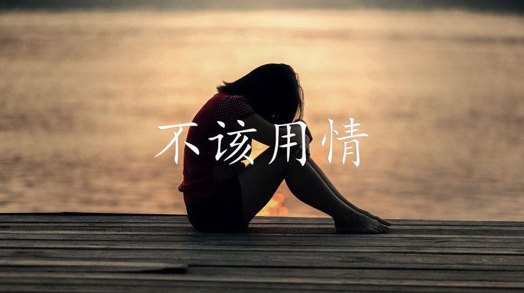 【东尼指弹】不该用情