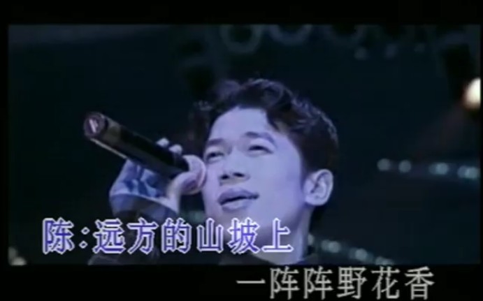  - 陈星 经典歌曲『流浪兄弟』_异乡的山水虽然是好_可我更爱我的故乡……