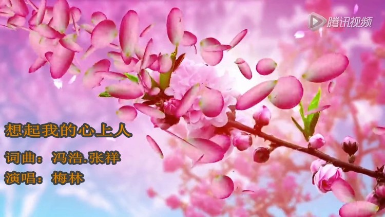  - 想起我的心上人  梅林