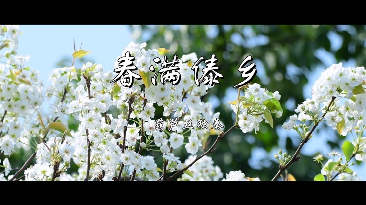 春满傣乡-葫芦丝