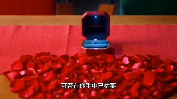  - 我送给你的红玫瑰是否在你手中已枯萎