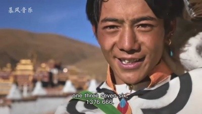  - ANU - 1376(丁真视频混剪)