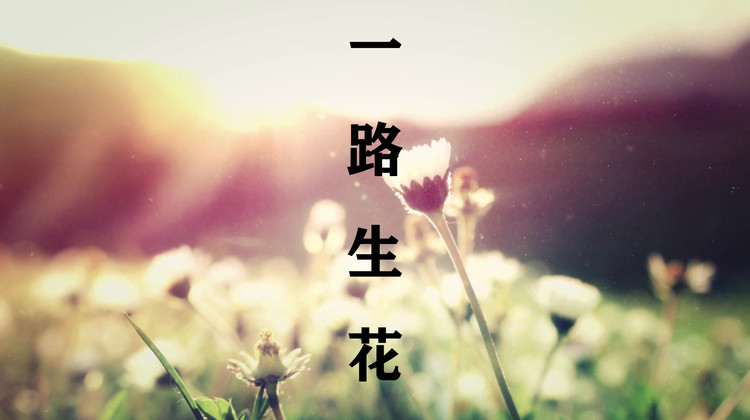 【东尼指弹】一路生花