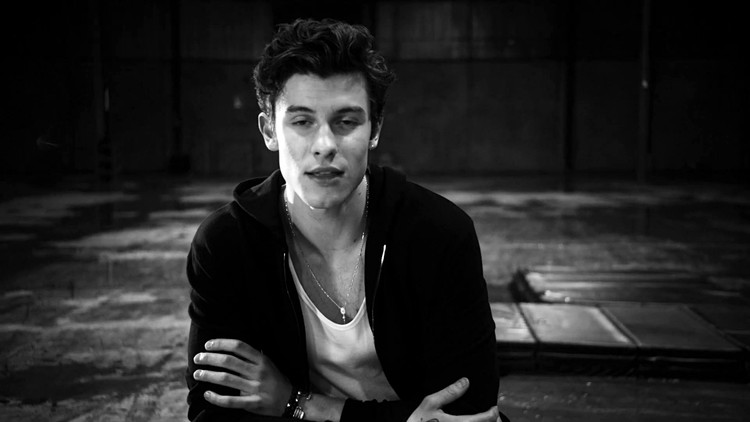 shawnmendesificanthaveyou