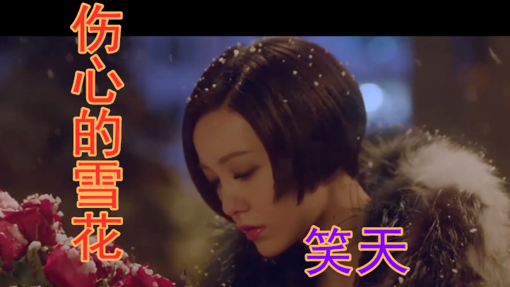 笑天《伤心的雪花》-你的心变了,是你转身以后,我还放不下.