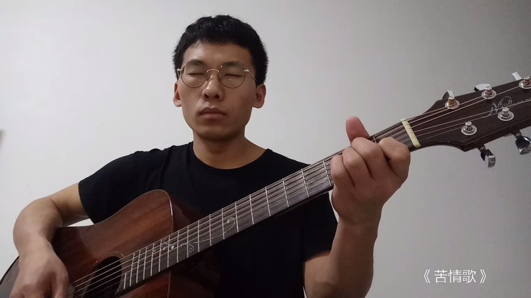- 王文龙-吉他版《苦情歌》