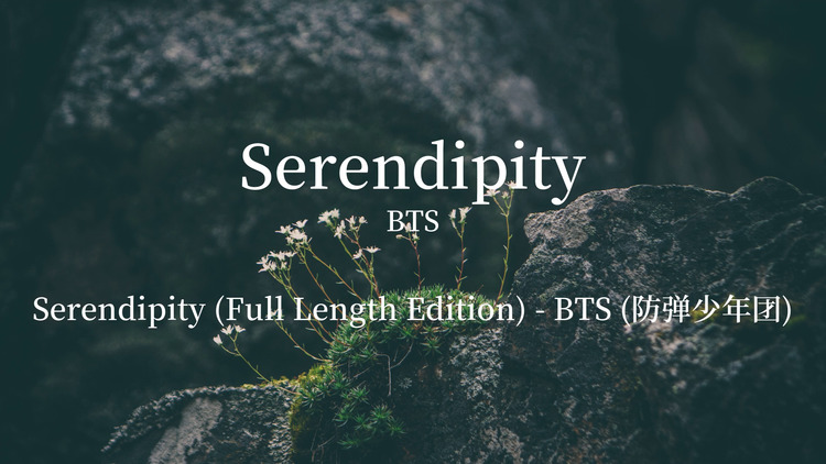 bts (防弹少年团)演唱的《serendipity》歌词版mv