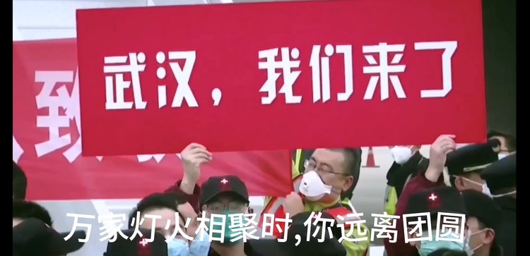 - 又见樱花,共赏繁华