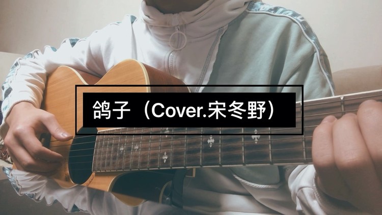 鸽子 吉他弹唱(cover.宋冬野)