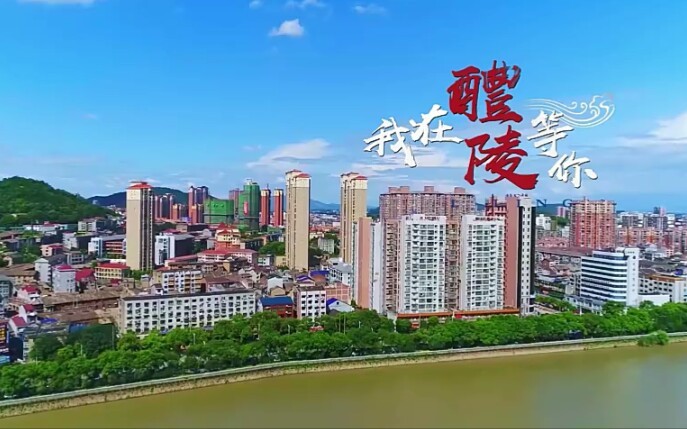  - 歌曲《我在醴陵等你》，由醴陵籍青年歌手李思宇演唱。主要是反映醴陵发展成就，推介醴陵产业特色，展示醴陵良好形象，唱响醴陵精神风貌。