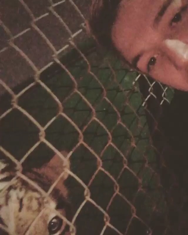 - played with a bunch of lions and tigers