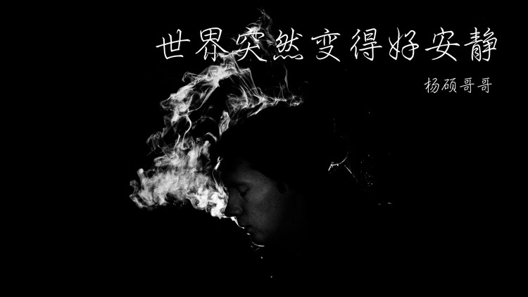 杨硕哥哥《世界突然变得好安静》歌词版mv