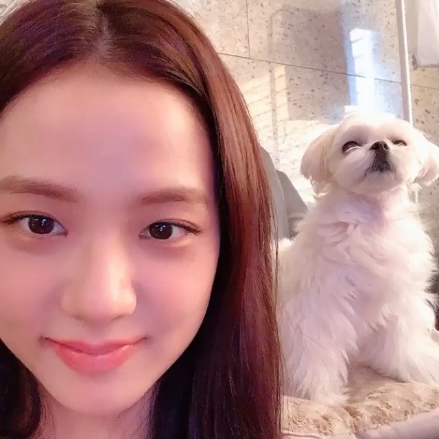 blackpink jisoo & 月熊