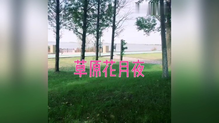 草原花月夜-萨克斯演奏(草原丁喜)
