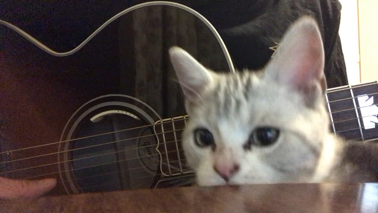 - 走马(cover:陈粒)