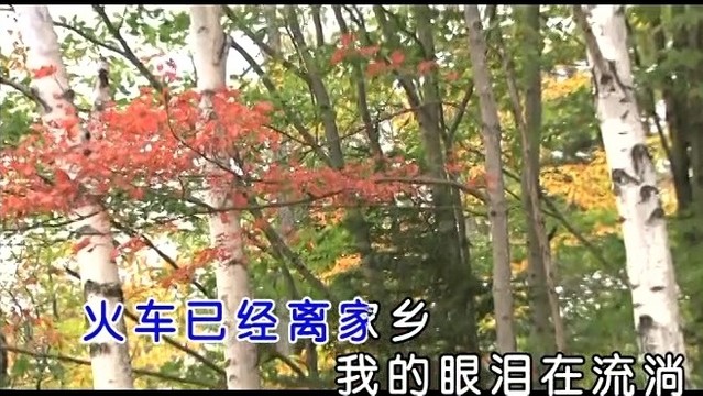 燕双鹰，a(陈汤)的头像