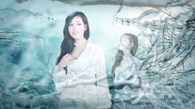 做你的雪莲(3D版)(热度:21)由文王 琴儿翻唱，原唱歌手何龙雨/艾歌