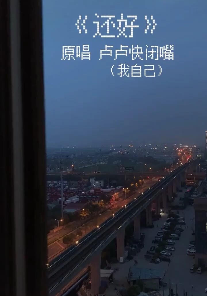 卢卢快闭嘴《还好》