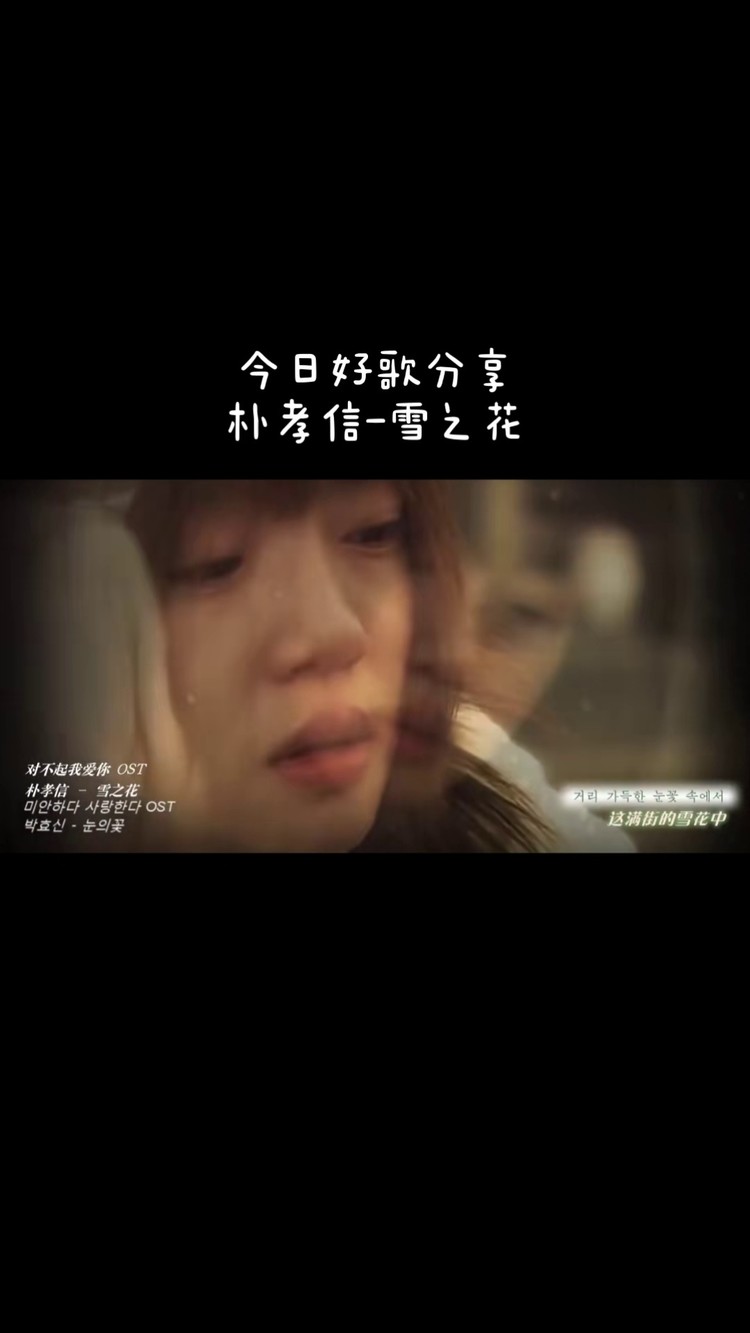 对不起我爱你ost雪之花
